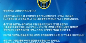 【龙八国际】因首尔FC门将挑衅在先，仁川联球迷投掷水瓶并砸中客队球员要害