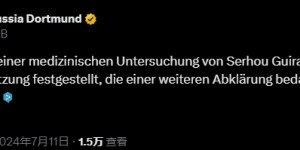 【龙八国际】👀有情况？多特官方：对吉拉西体检时发现需进一步检查的伤势