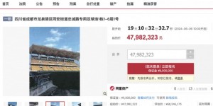 【龙八国际】成都市龙泉驿区专用足球场将进行司法拍卖，起拍价4798.2万