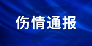 【龙八国际】罗森文左脚距腓前韧带撕裂，预计恢复时间约6-8周