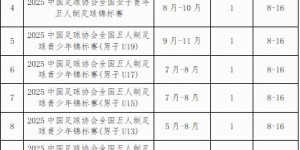 【龙八国际】足协明年将举办十多项五人制足球赛事，现征集承办赛区