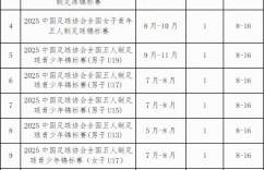 【龙八国际】足协明年将举办十多项五人制足球赛事，现征集承办赛区