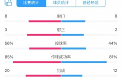 【龙八国际】光州1-0申花全场数据：光州8射门3射正略占优，申花6射门2射正