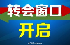 【龙八国际】2025赛季第一个转会窗正式开启，中超的转会注册将持续到2月18日