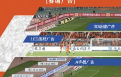 【龙八国际】山东泰山XXXX队？泰山俱乐部对球队冠名、竞赛服广告等进行招商