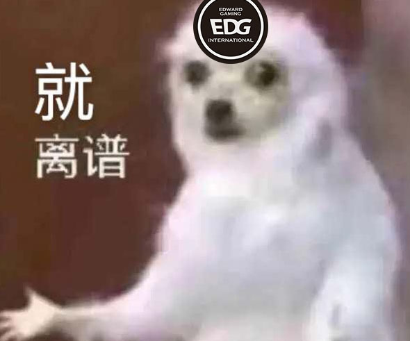 还在排列组合呢？EDG六套阵容全部失利，仅Ale带队赢过一场