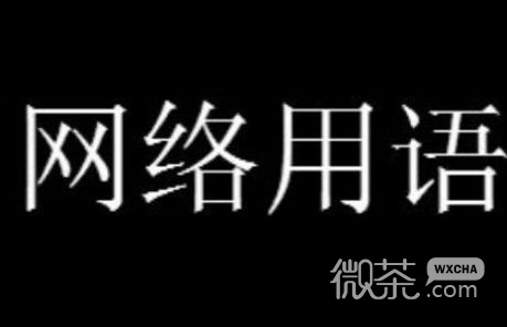 byd谐音骂人梗是什么意思详情